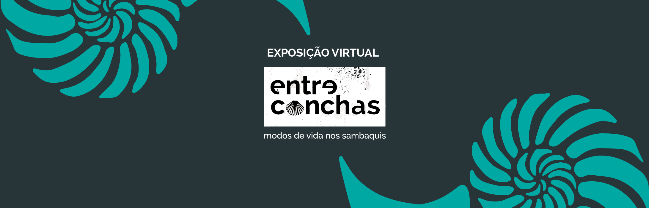 Exposição Virtual Entre Conchas