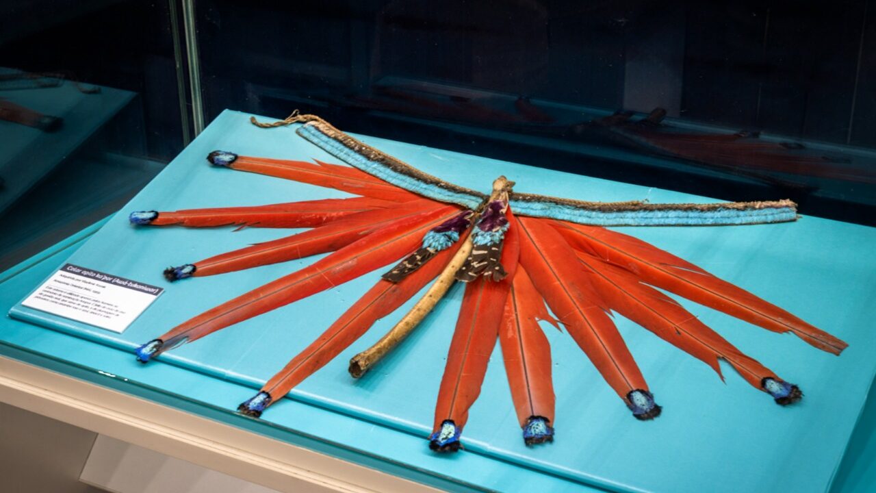 WhatsApp Image 2025-12-08 at 12.05.55 (6)